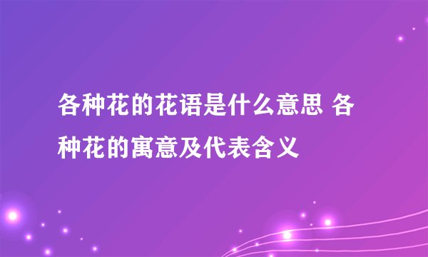 各种花的花语是什么意思 各种花的寓意及代表含义