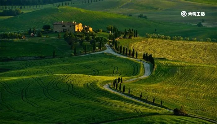 绿野仙踪的主要内容