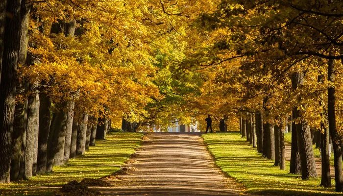 俄罗斯人口多少亿人2022