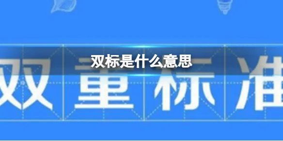 双标是什么意思