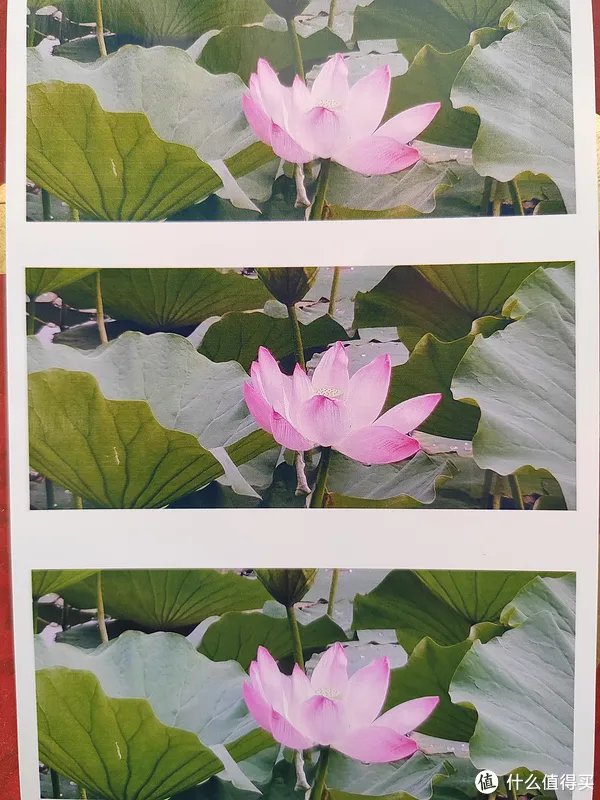 相片纸哪个牌子的好