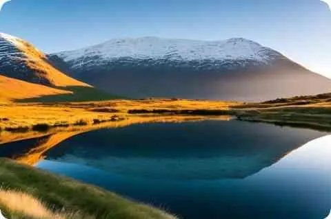 路人王是什么意思