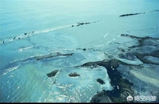 022隐身导弹艇性能先进，为何难于维护？