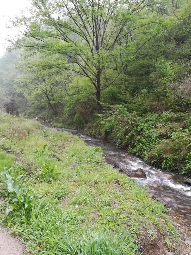 信阳现在的房价大概是多少钱？