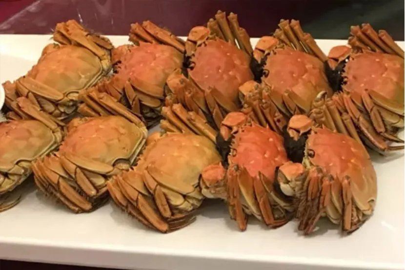 螃蟹不能和什么一起吃