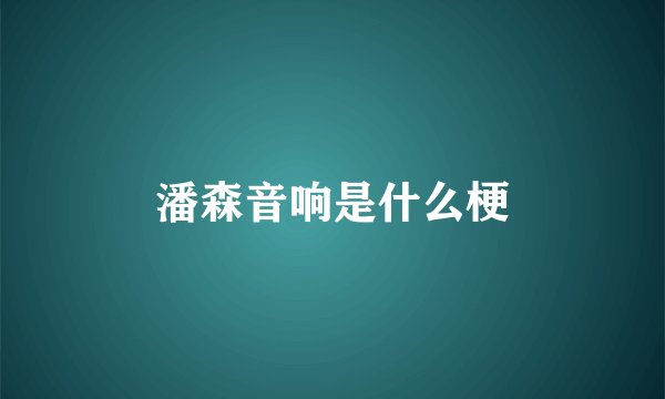 潘森音响是什么梗