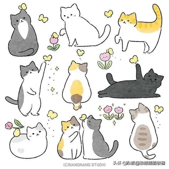 大家有没有小猫咪的图片？