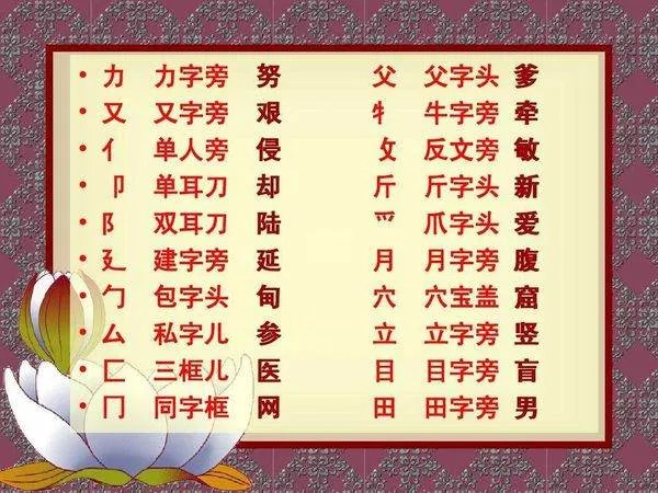 偏旁和部首的区别