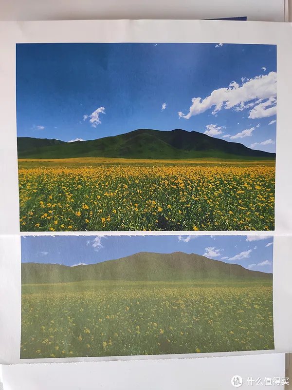 相片纸哪个牌子的好