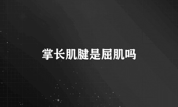 掌长肌腱是屈肌吗