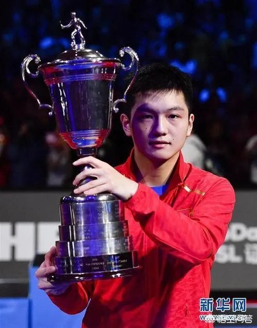 如何评价樊振东？