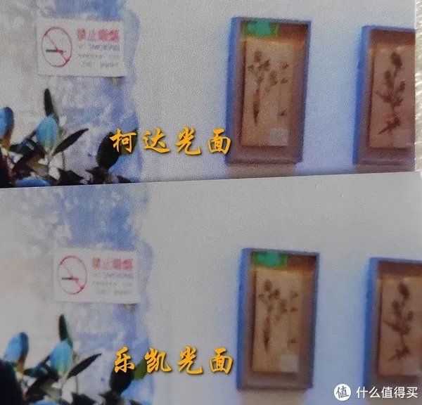 相片纸哪个牌子的好