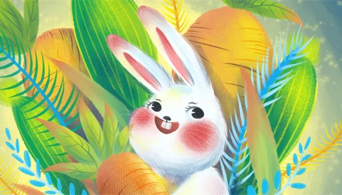 1987年属兔的命好不好 1987年属兔人的性格和脾气