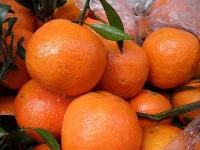 orange是什么意思