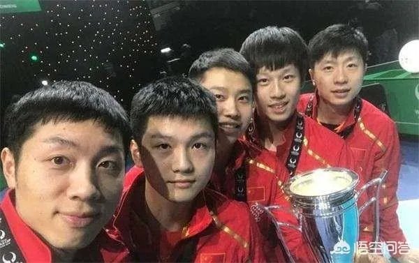 如何评价樊振东？