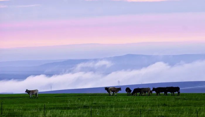 藏族有什么特产