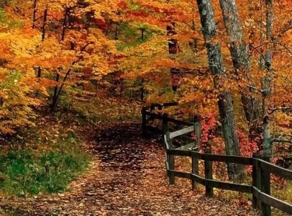 江苏有哪些好玩的地方？