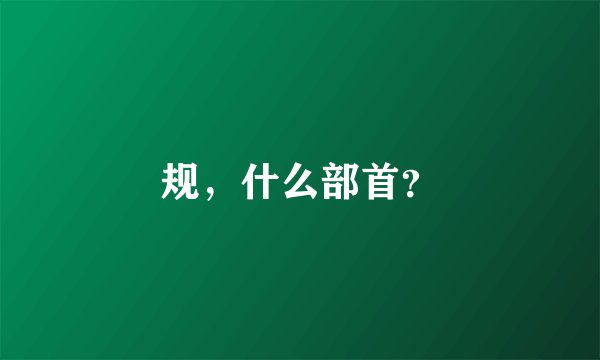 规，什么部首？
