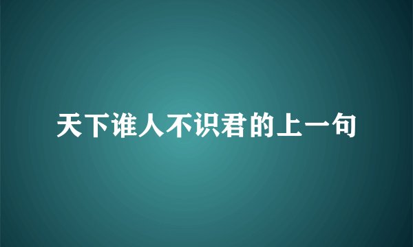 天下谁人不识君的上一句