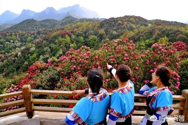 去贵州、云南旅游，有哪些攻略？