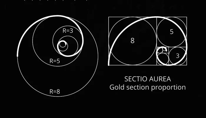 黄金比例是多少 黄金比例是几比几