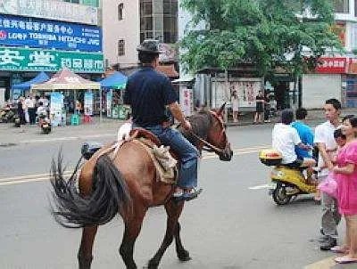 雪天骑马撞人逃逸，我国交通法允许在公路上骑马吗？