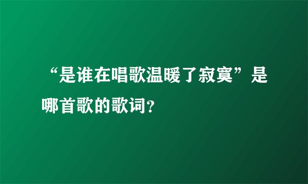 “是谁在唱歌温暖了寂寞”是哪首歌的歌词？