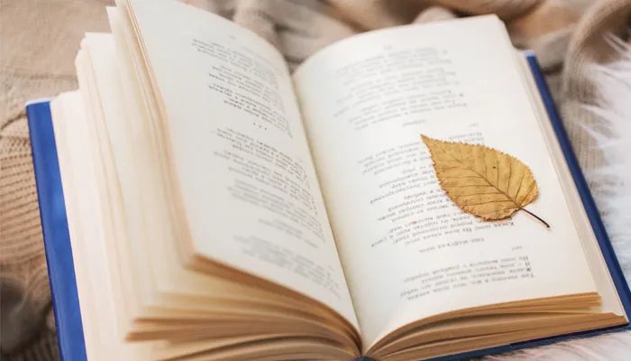 0571区号是哪里的 0571是哪里的区号