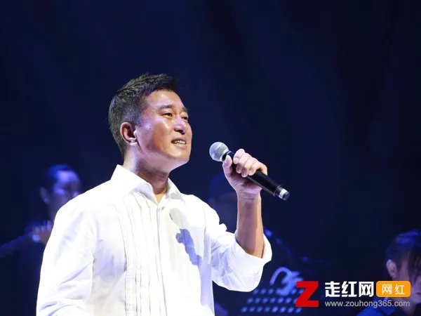 窗外明月光映照我脸庞是什么歌，望乡歌曲介绍