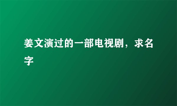 姜文演过的一部电视剧，求名字