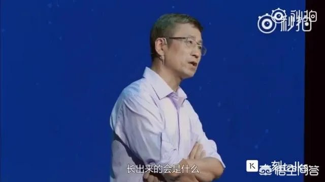 董路微博炮轰白岩松是“充满着井底之蛙的无知和浅薄”，对此你怎么看？