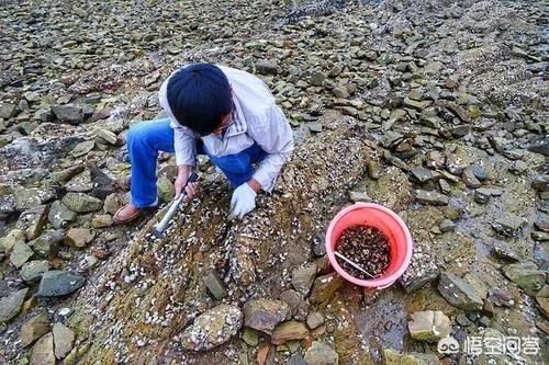 国庆休息这么多天，您会怎么过？