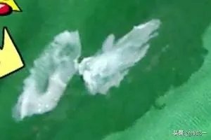 口香糖粘在衣物上如何弄掉？