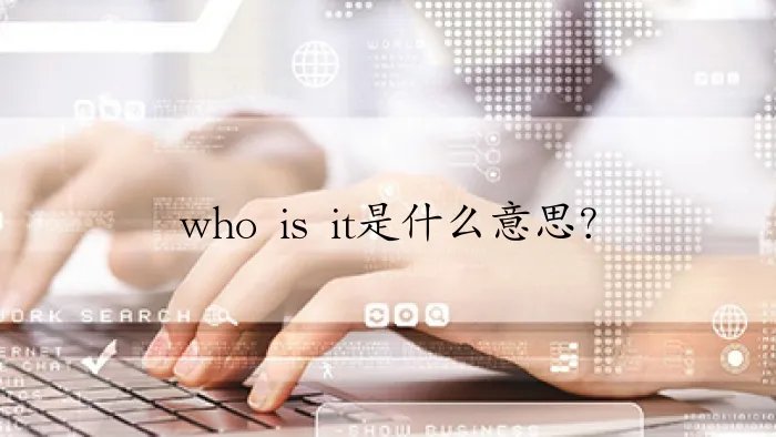 who is it是什么意思？