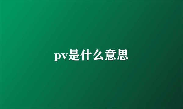 pv是什么意思