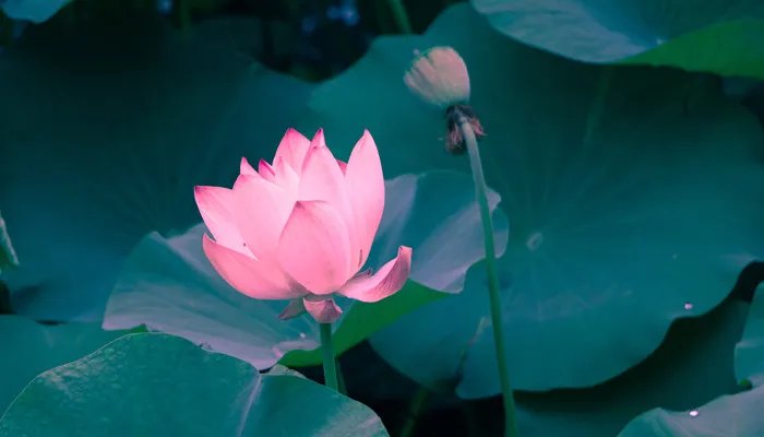 吃一堑长一智的意思 吃一堑长一智的意思是什么意思