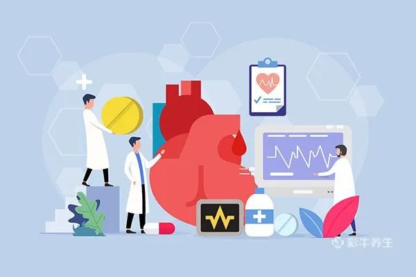 桦树茸的功效和吃法