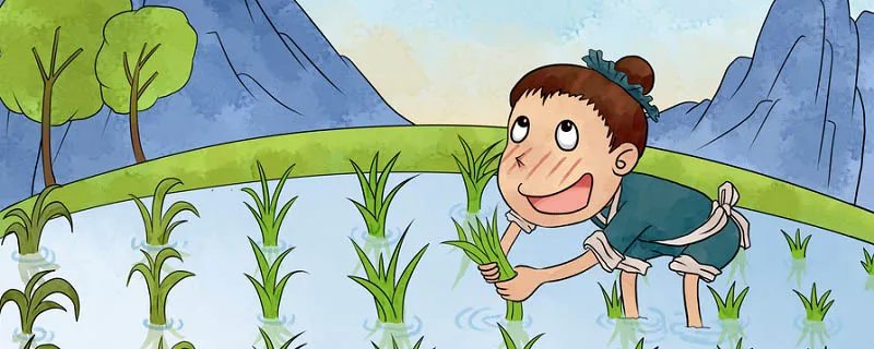 揠苗助长的故事