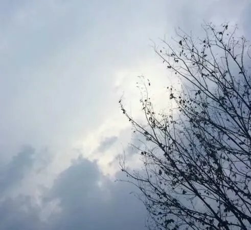 大家有没有好看简约的QQ背景图片？