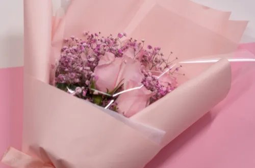 粉色满天星花语和寓意有哪些 粉色满天星适合送什么人