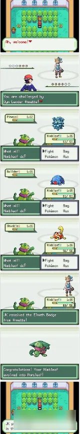 《口袋妖怪织女星》一周目攻略大全分享