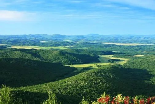 一公顷等于多少平方米？