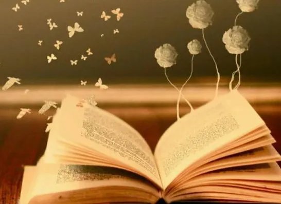 谚语是什么意思？