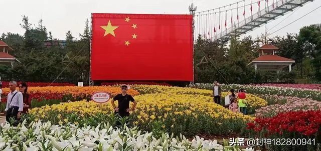 国庆休息这么多天，您会怎么过？