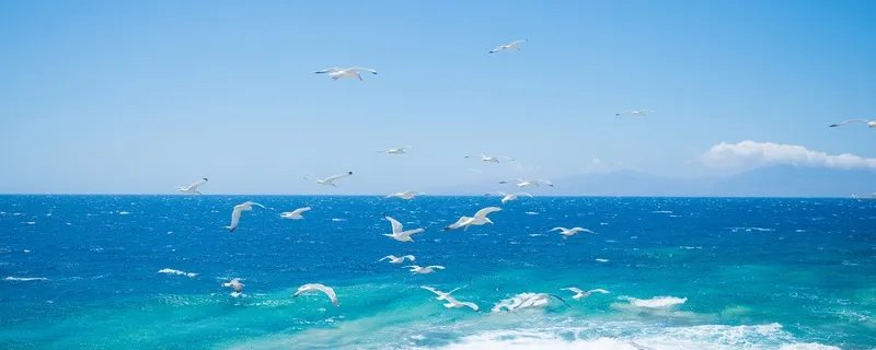 乘风破浪的意思