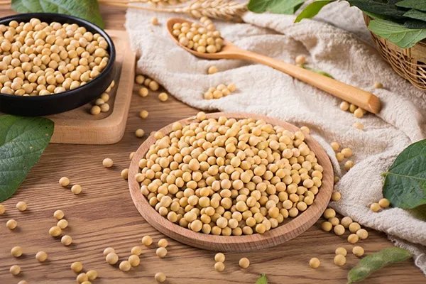 蛋白质含量高的食物