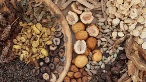 补脾益肠丸的功效