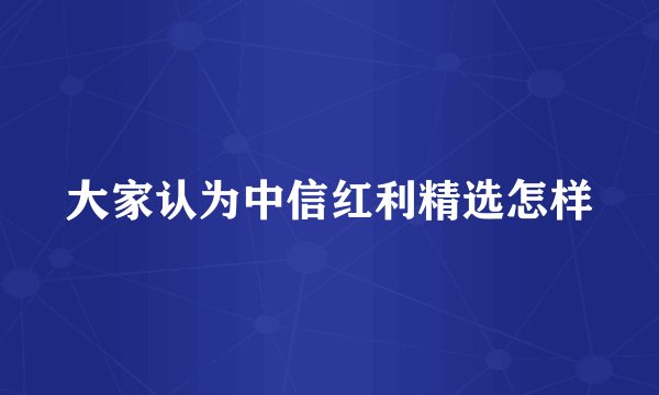 大家认为中信红利精选怎样