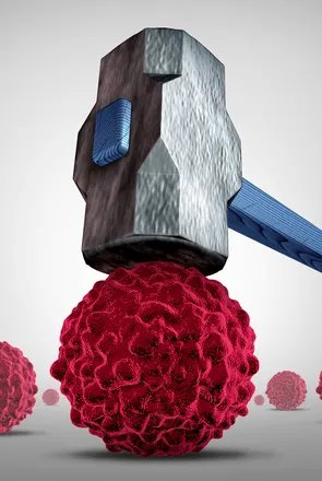 细粒棘球绦虫的寄生之旅