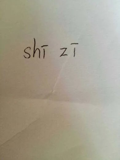 狮子的拼音怎么念